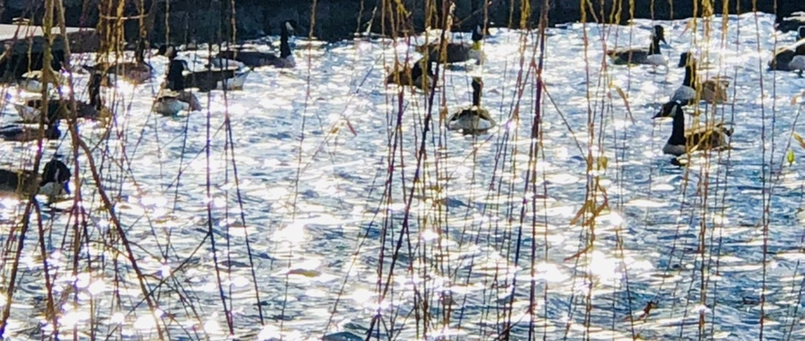 IMG_9208.jpg?type=w966