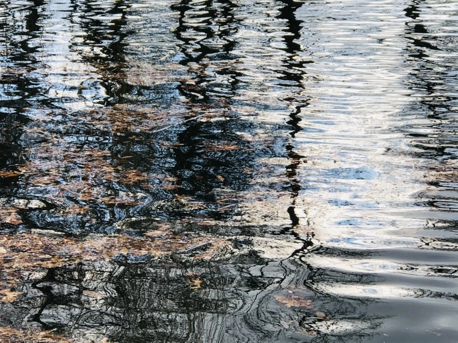 IMG_4364.jpg?type=w966