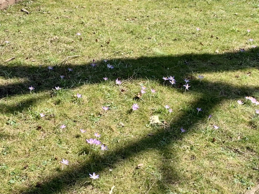 IMG_9232.jpg?type=w966