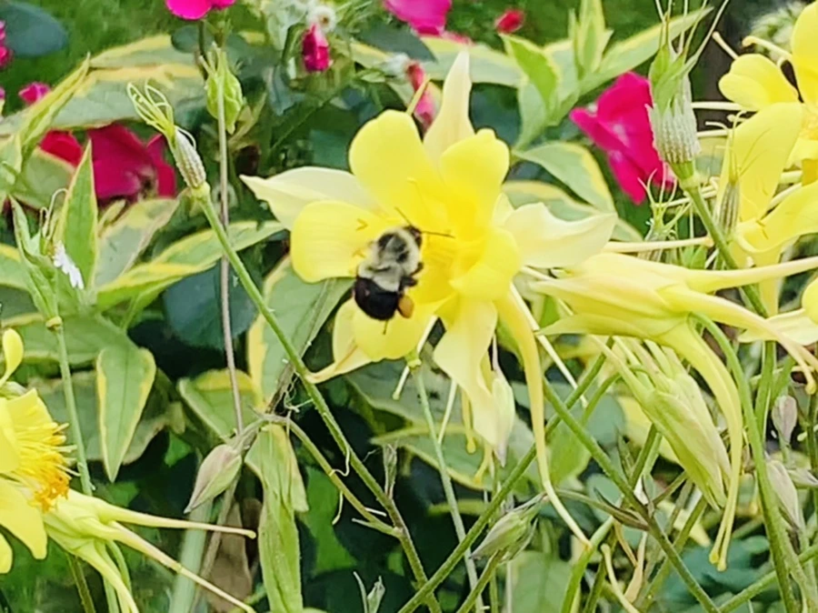 IMG_2904.jpg?type=w966