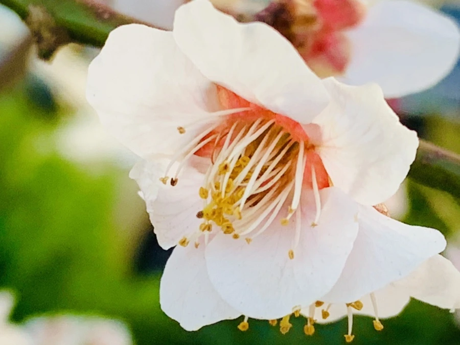 IMG_2806.jpg?type=w966