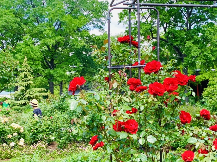 IMG_5848.jpg?type=w966