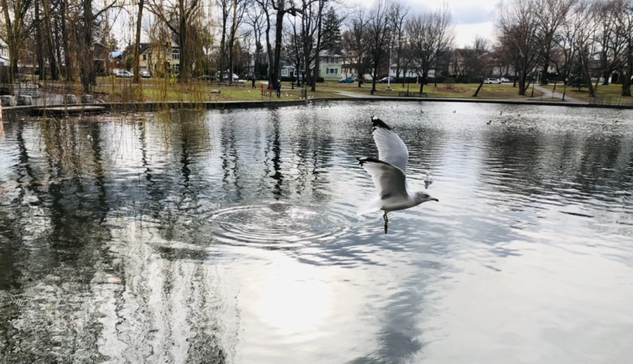 IMG_8661.jpg?type=w966