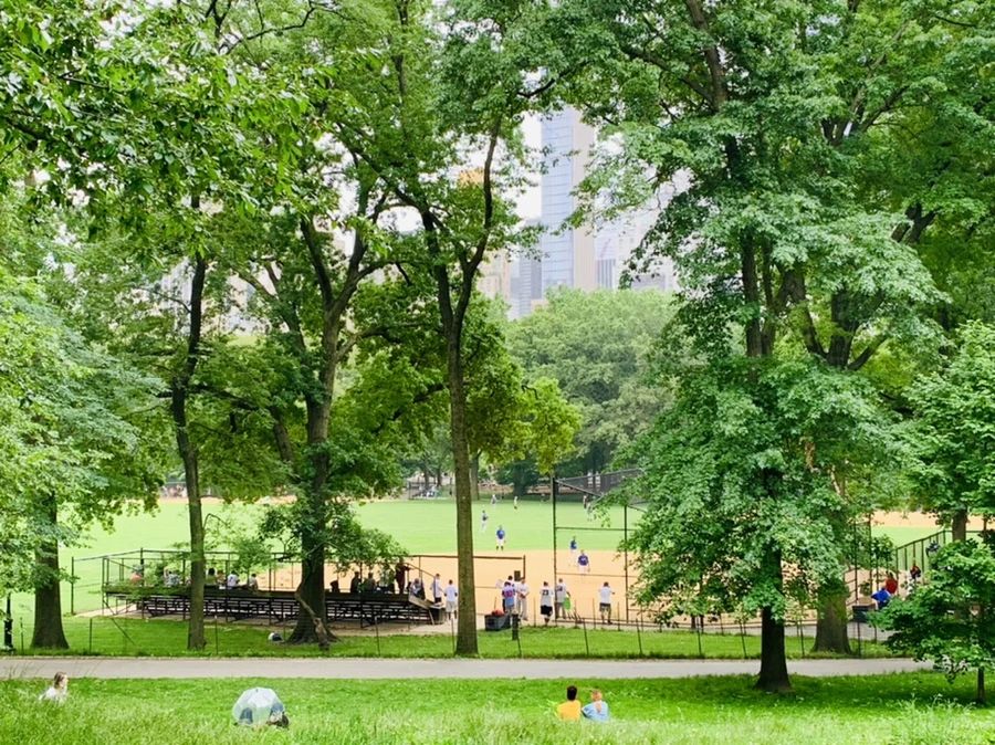 IMG_3308.jpg?type=w966