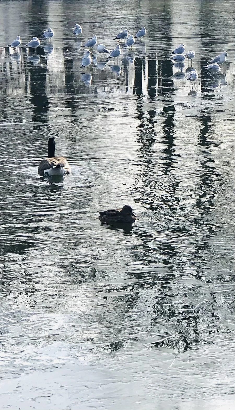 IMG_8463.jpg?type=w966