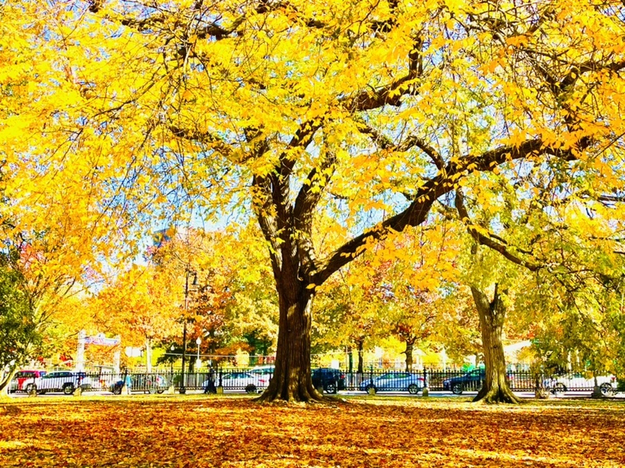 IMG_2579.jpg?type=w966