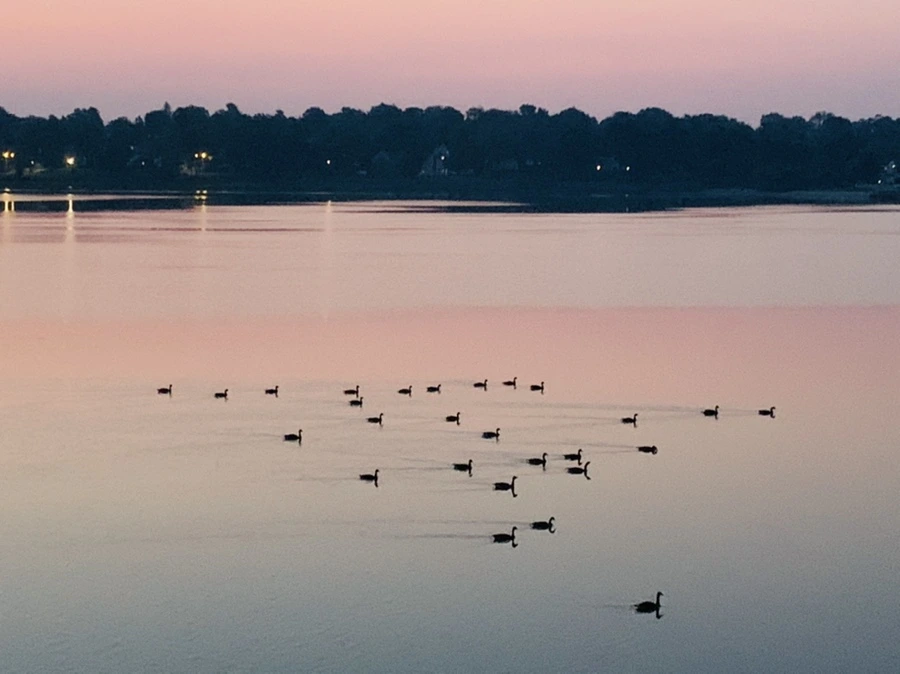 IMG_1812.jpg?type=w966