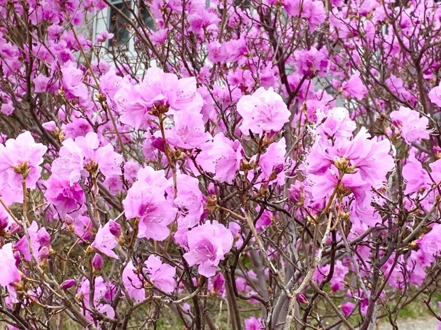 IMG_5995.jpg?type=w966