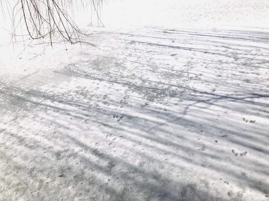 IMG_3936.jpg?type=w966