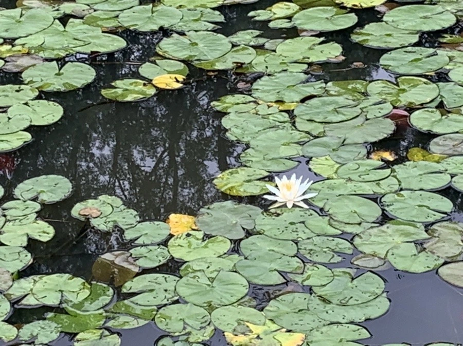 KKBqRvyxumrOfJ5pzypvZgjbtls