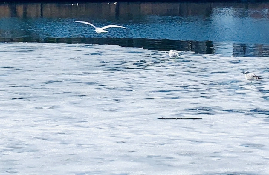 IMG_6958.jpg?type=w966