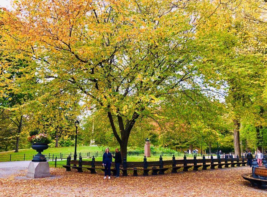 IMG_3023.jpg?type=w966