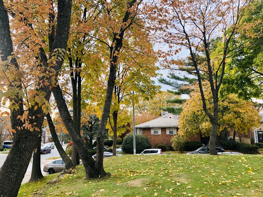 IMG_2039.jpg?type=w966