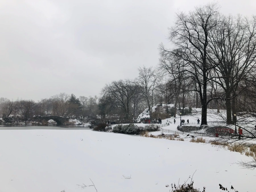 IMG_9533.jpg?type=w966