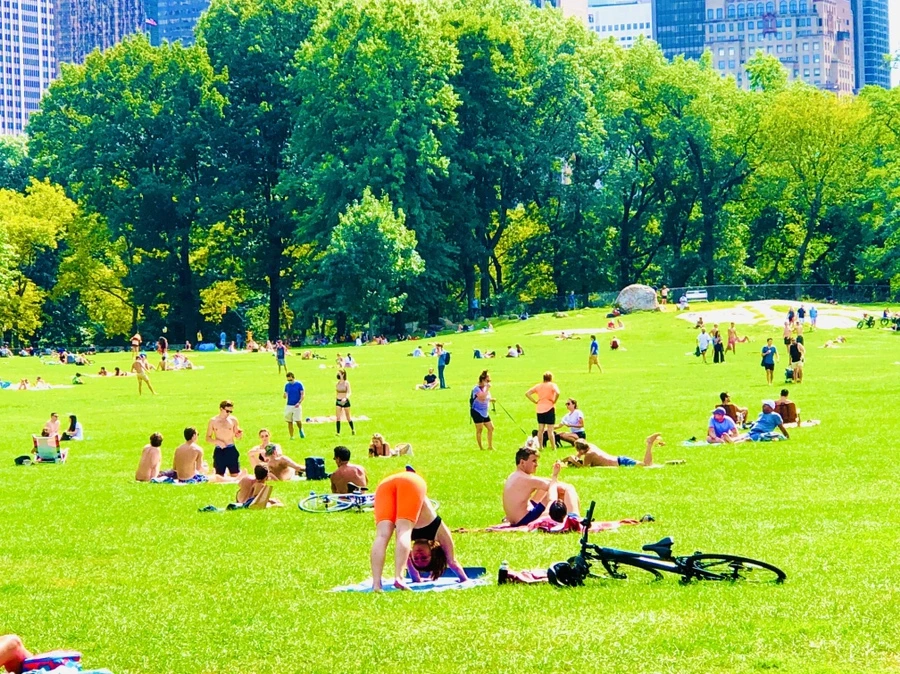 IMG_9491.jpg?type=w966