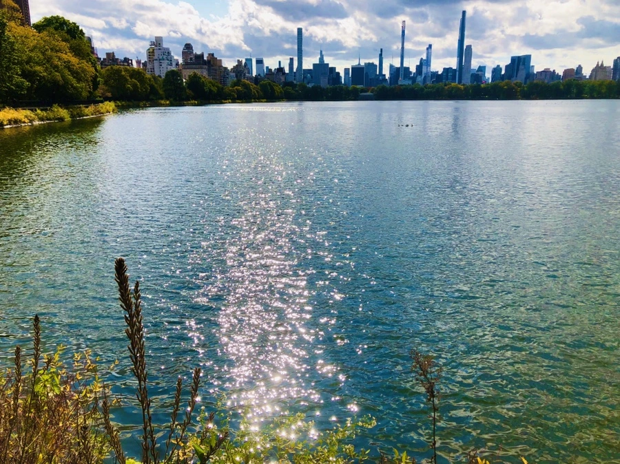 IMG_1915.jpg?type=w966