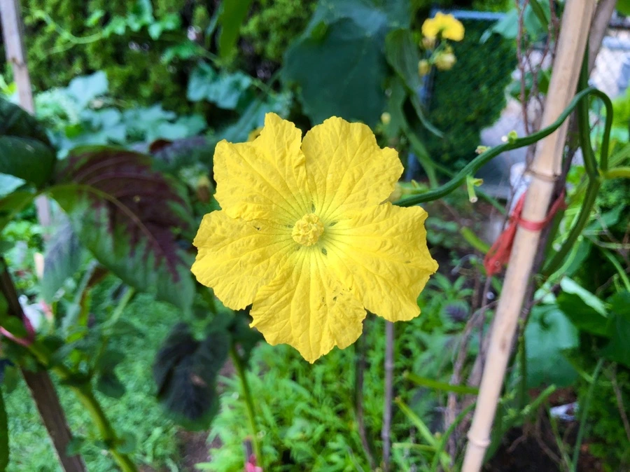 IMG_4166.jpg?type=w966