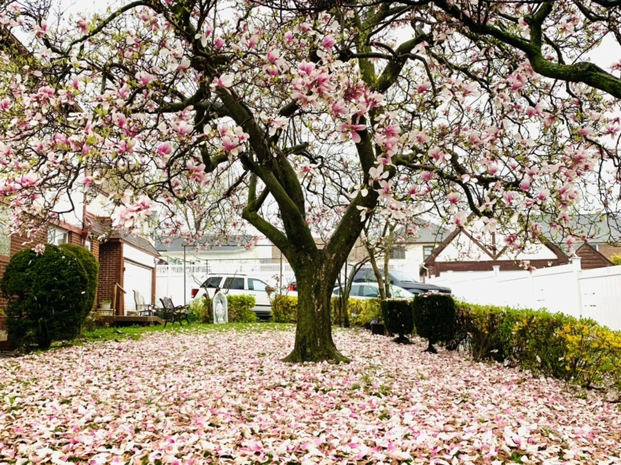 IMG_2224.jpg?type=w966