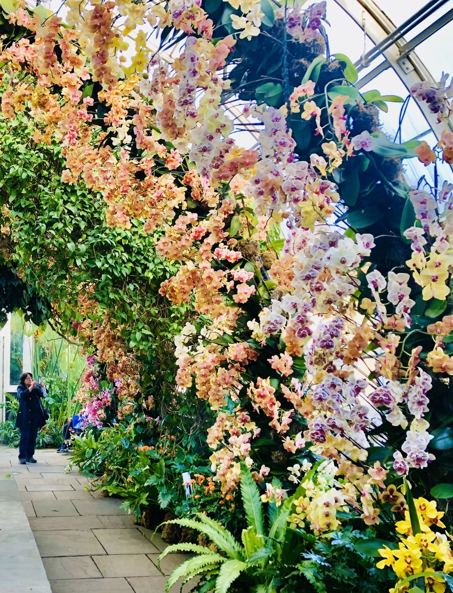 IMG_6285.jpg?type=w966