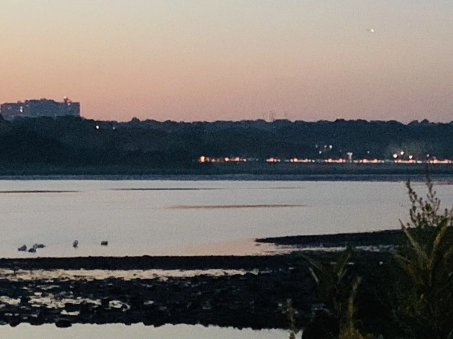 IMG_7005.jpg?type=w966