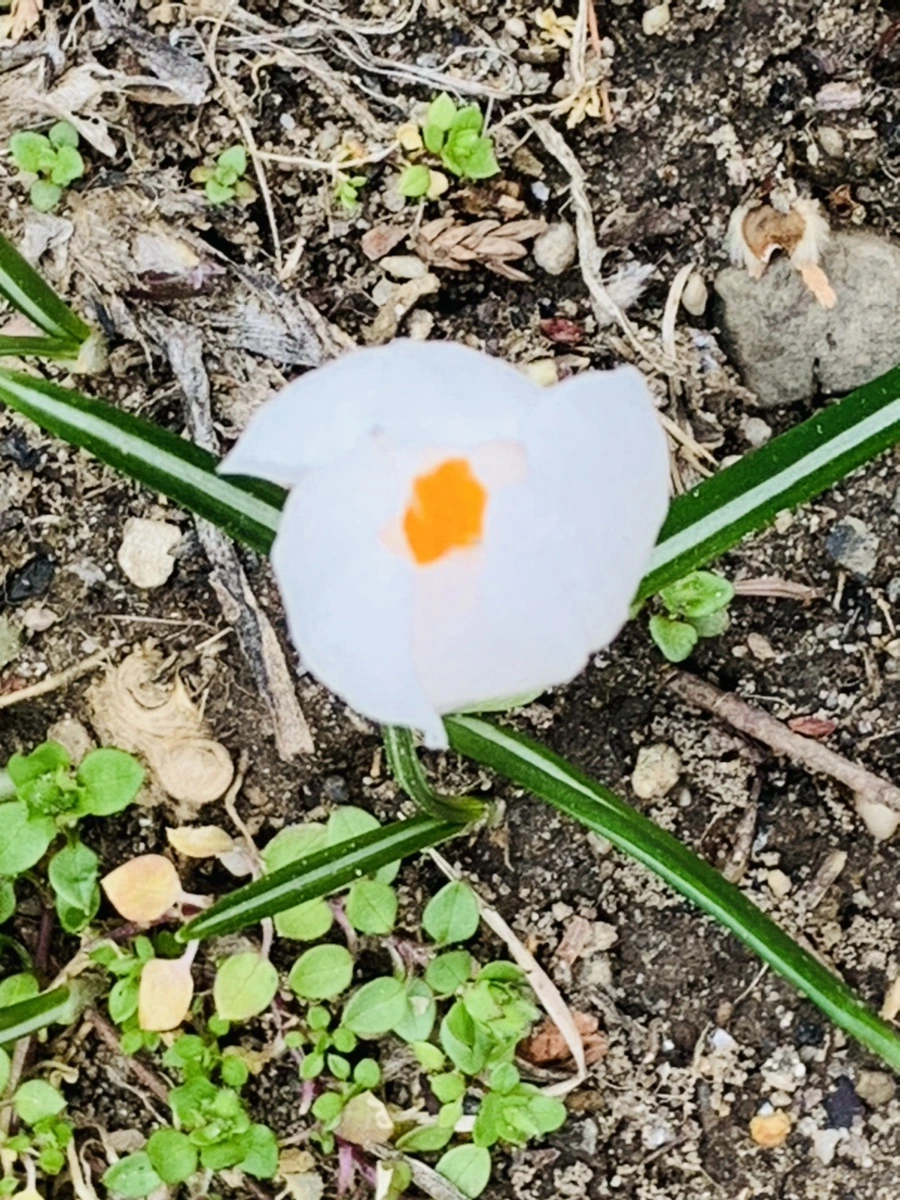 IMG_3544.jpg?type=w966