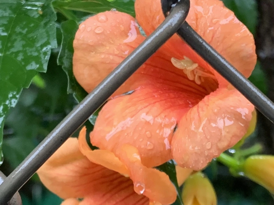 IMG_3844.jpg?type=w966