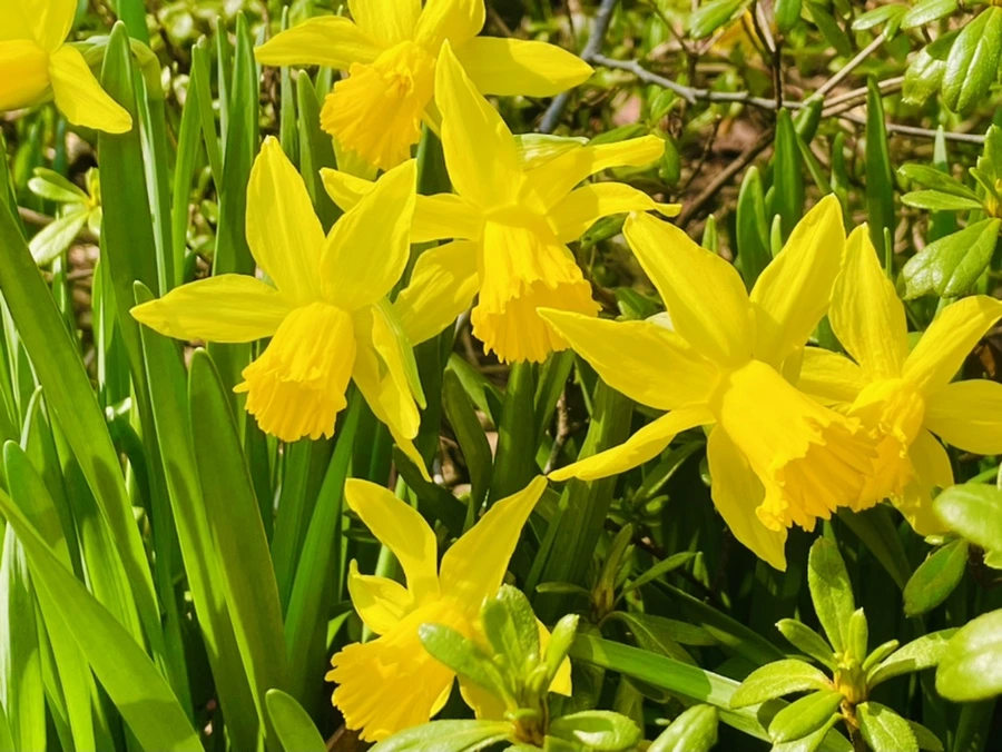 IMG_5574.jpg?type=w966