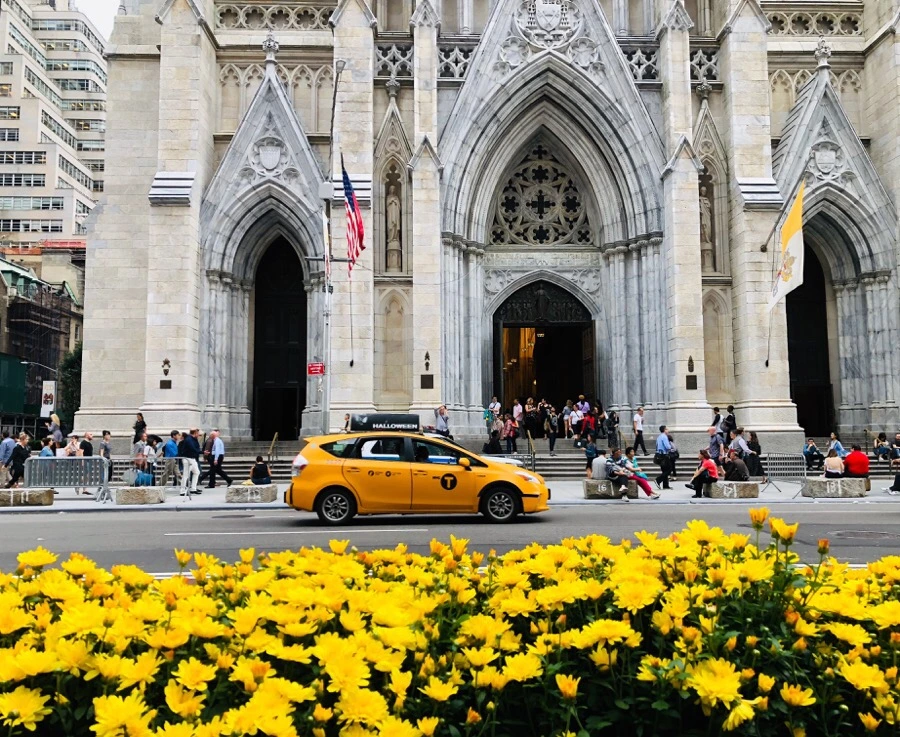 IMG_6479.jpg?type=w966