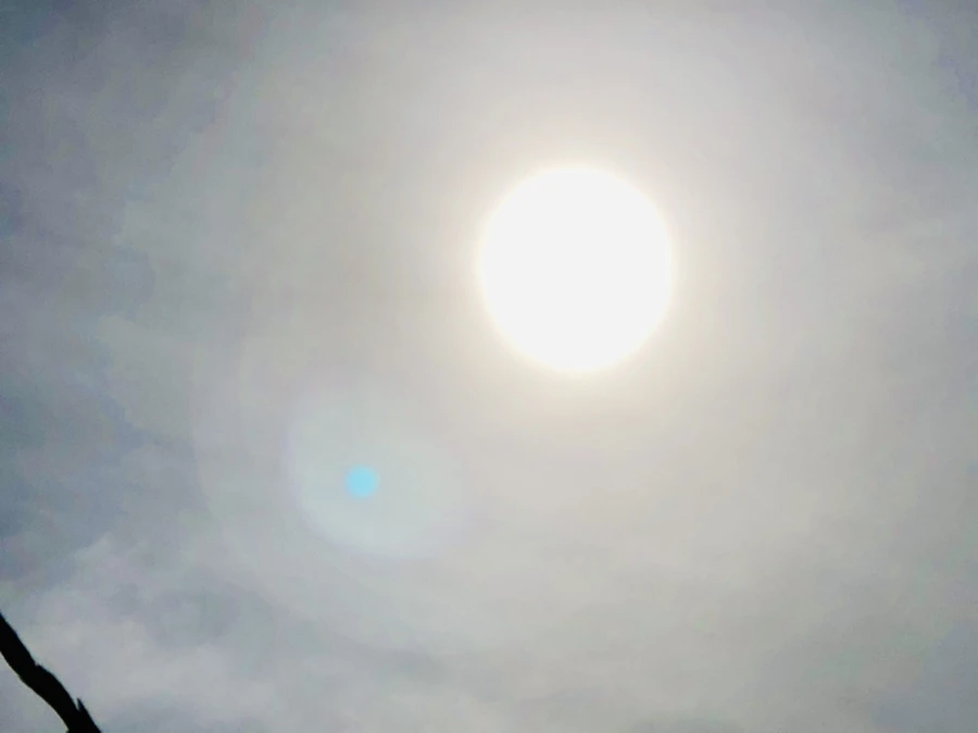 IMG_3156.jpg?type=w966