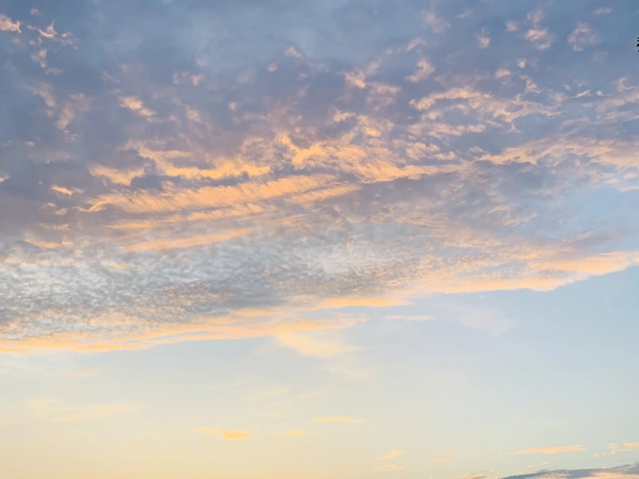 IMG_1201.jpg?type=w966