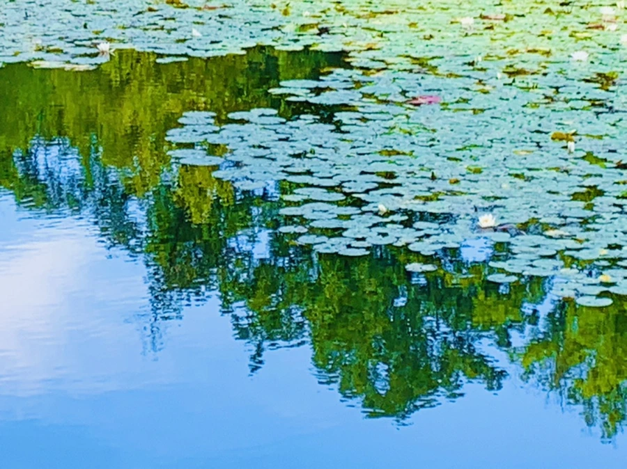 IMG_9301.jpg?type=w966