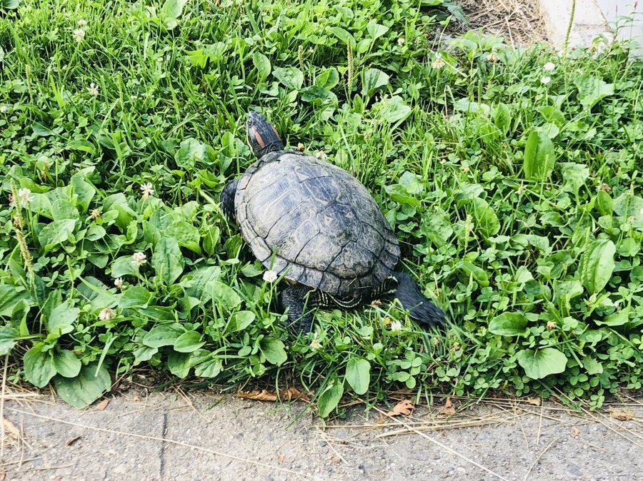 IMG_6756.jpg?type=w966