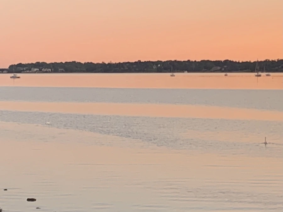 IMG_7500.jpg?type=w966