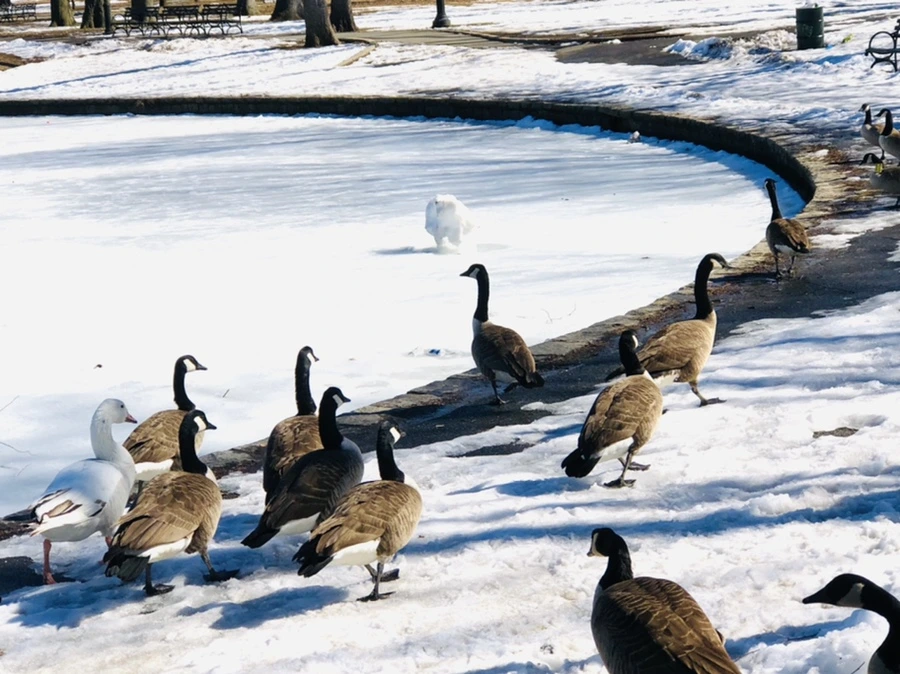 IMG_4880.jpg?type=w966