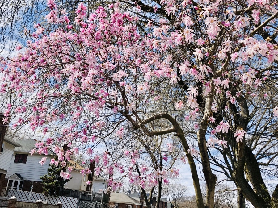 IMG_6575.jpg?type=w966