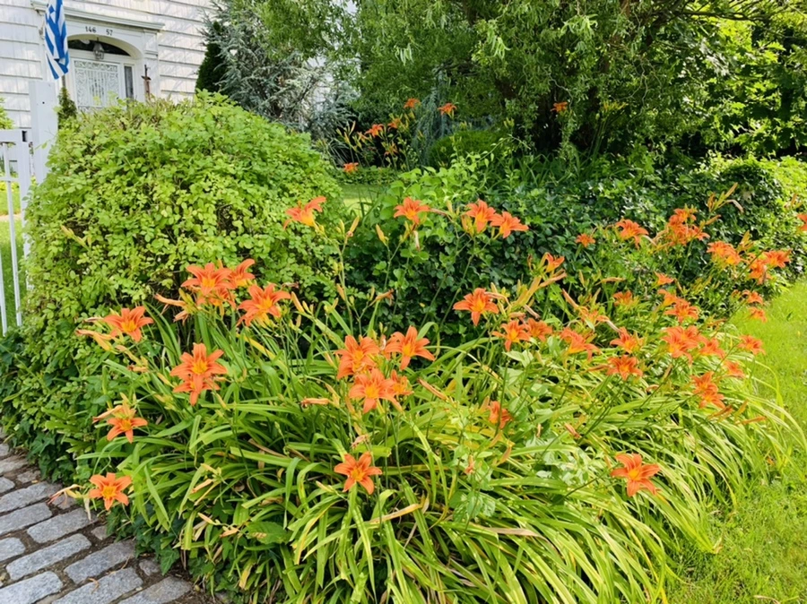 IMG_5037.jpg?type=w966