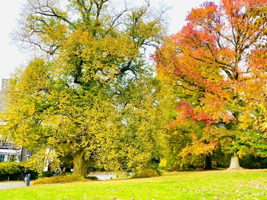 IMG_2343.jpg?type=w966