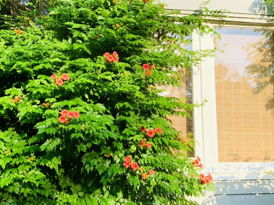 IMG_5840.jpg?type=w966