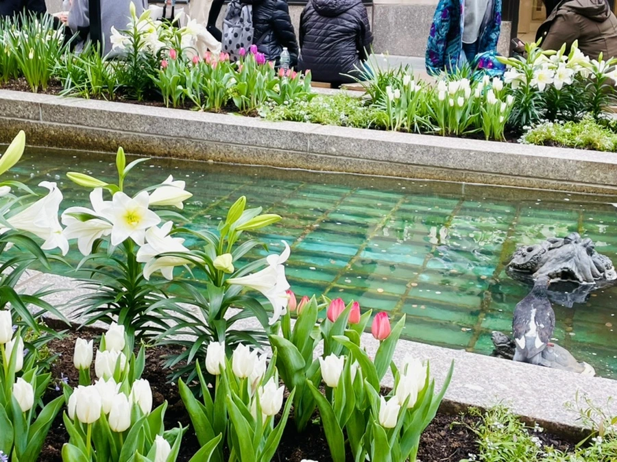 IMG_1678.jpg?type=w966