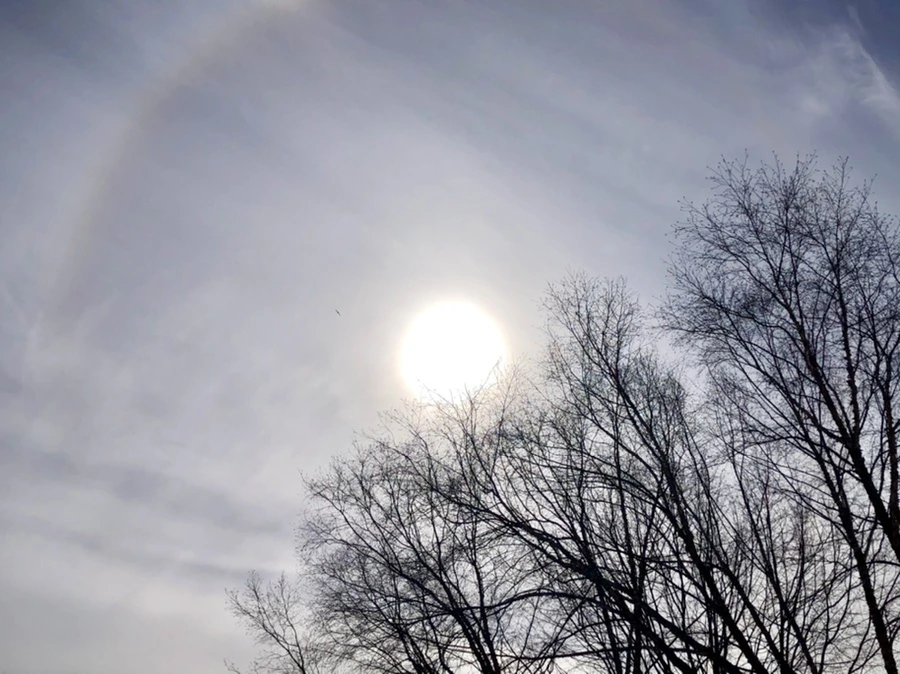 IMG_3089.jpg?type=w966