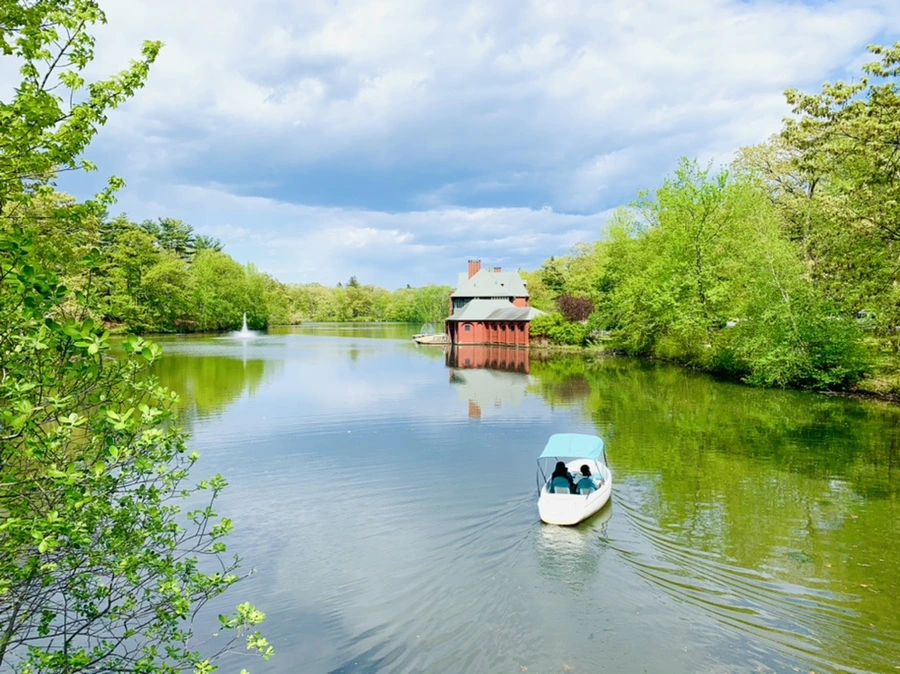 IMG_2478.jpg?type=w966