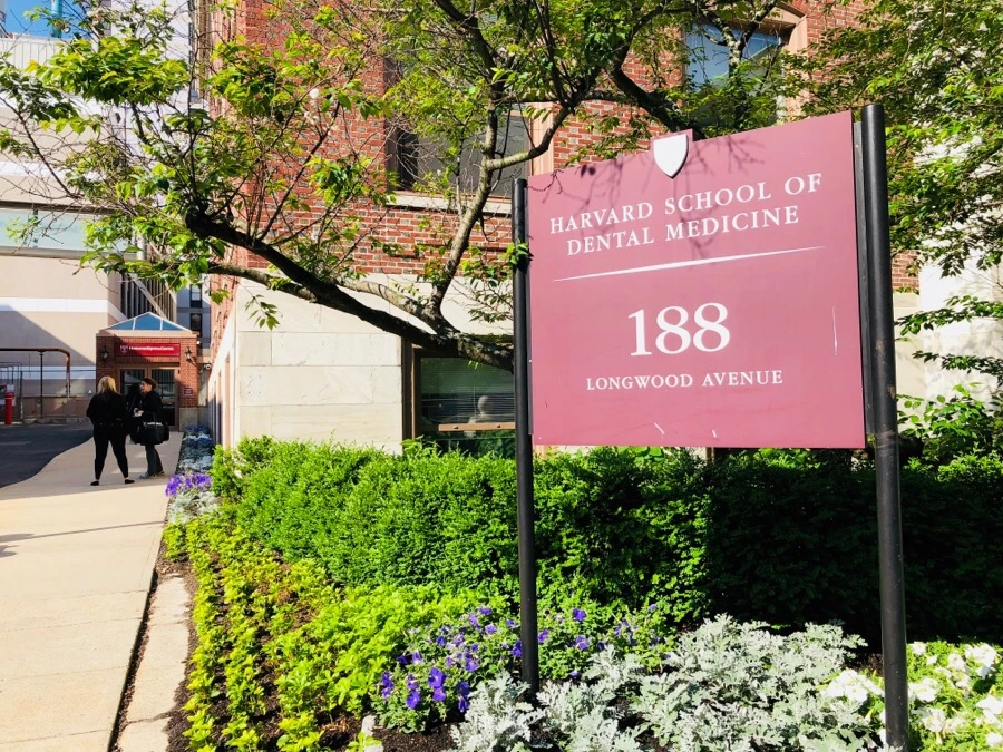 IMG_6851.jpg?type=w966