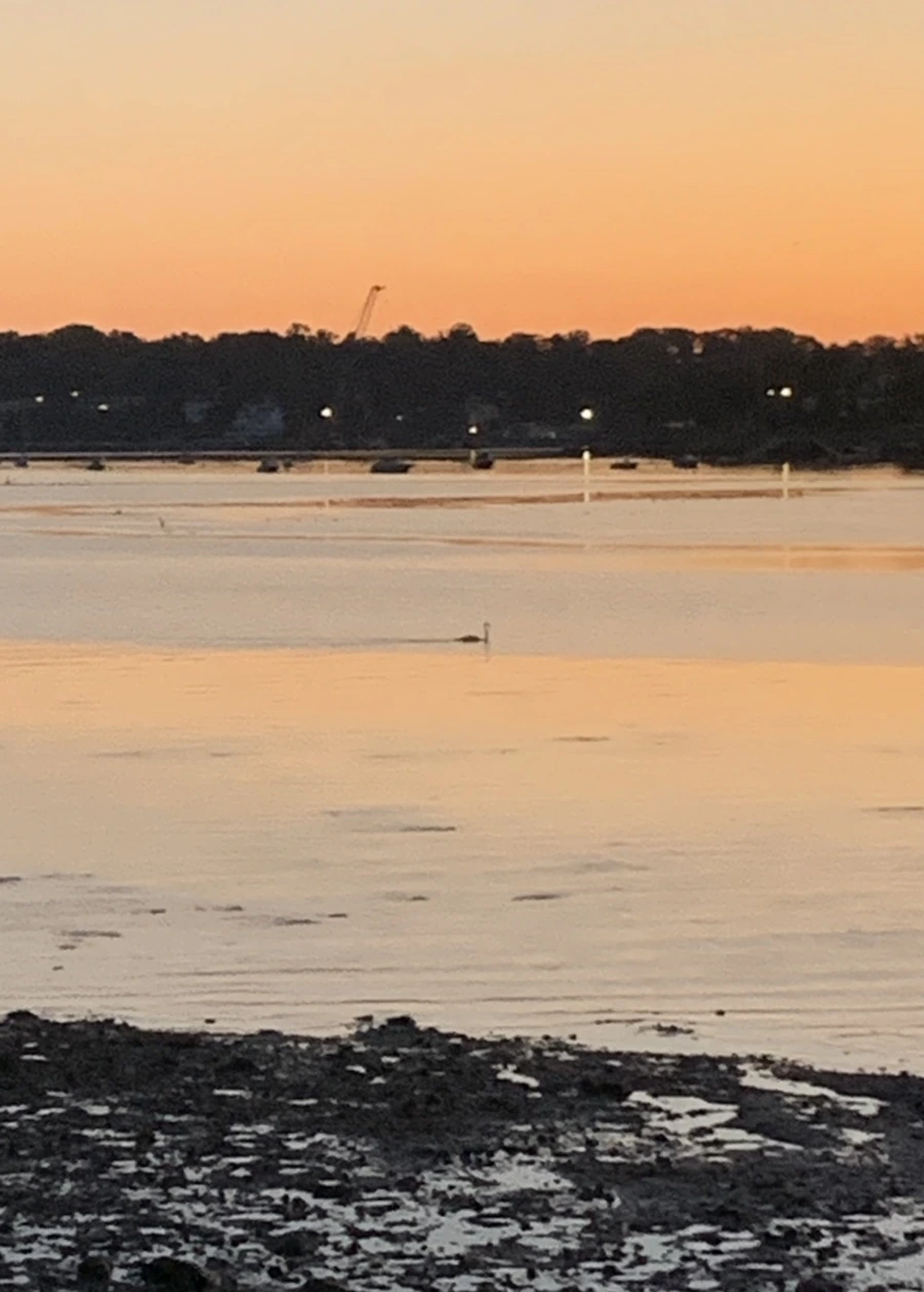 IMG_8523.jpg?type=w966