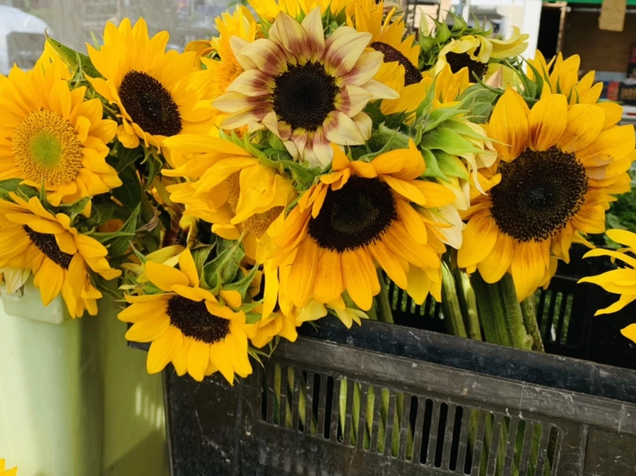 IMG_1193.jpg?type=w966