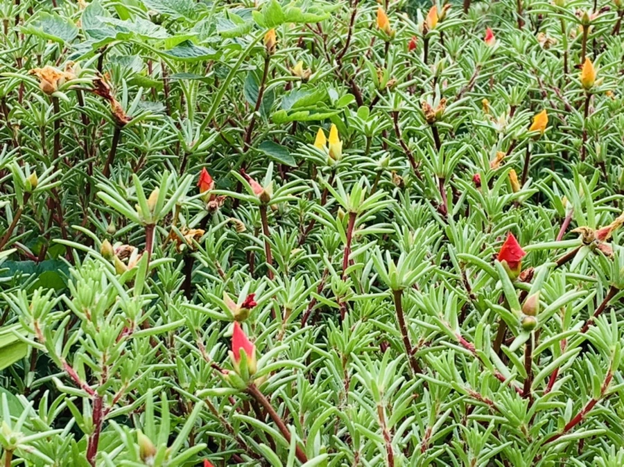 IMG_5624.jpg?type=w966