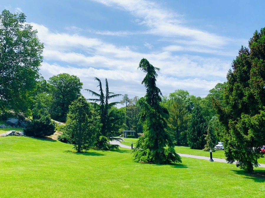 JJiRnyvan-XvCtbQBhGgd3Oifsc