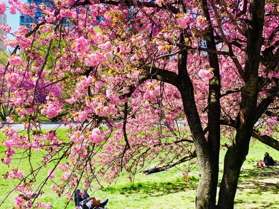 IMG_5938.jpg?type=w966