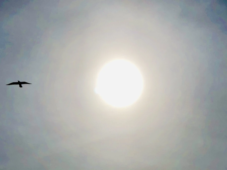 IMG_3179.jpg?type=w966