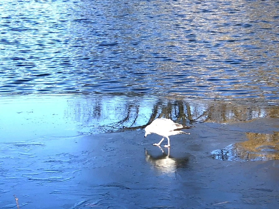 IMG_0543.jpg?type=w966