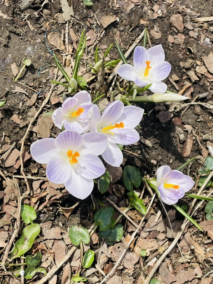 IMG_5168.jpg?type=w966